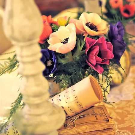 Il Cuore ベッド・アンド・ブレックファスト マッサ