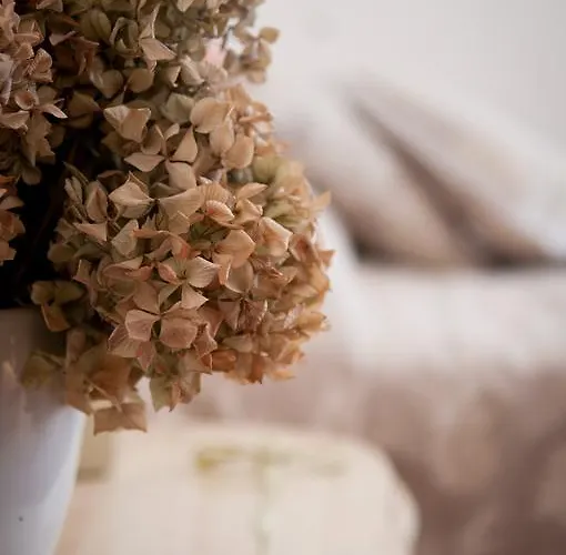 Bed & Breakfast Il Cuore 4*